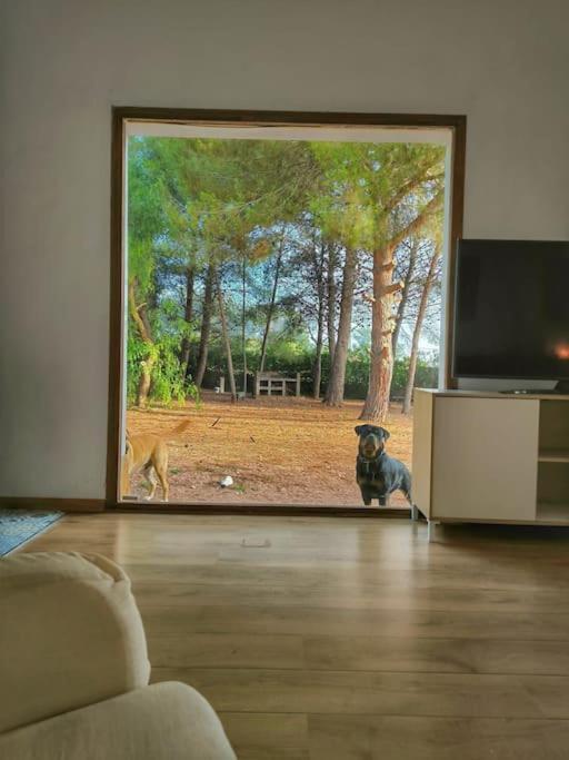 Villa El Rincon De La Luz Salinas  Eksteriør bilde